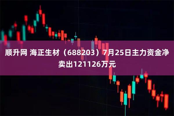 顺升网 海正生材（688203）7月25日主力资金净卖出121126万元