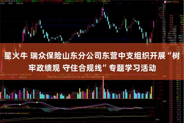 星火牛 瑞众保险山东分公司东营中支组织开展“树牢政绩观 守住合规线”专题学习活动